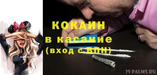 шишки Верея